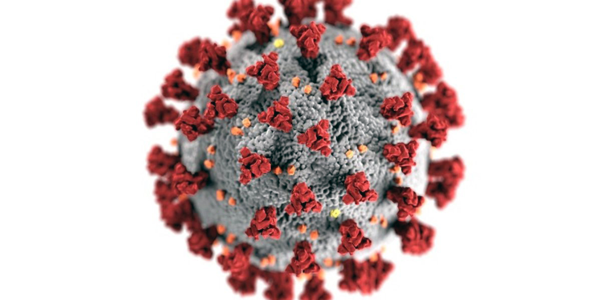 a close up diagram of a coronavirus 