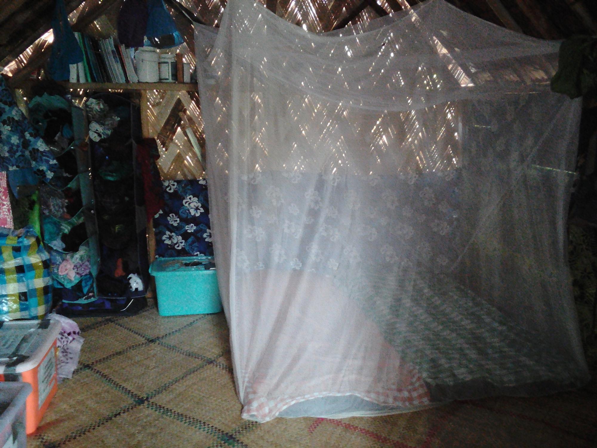 a room in vanuatu with a mosquito cover over the bed