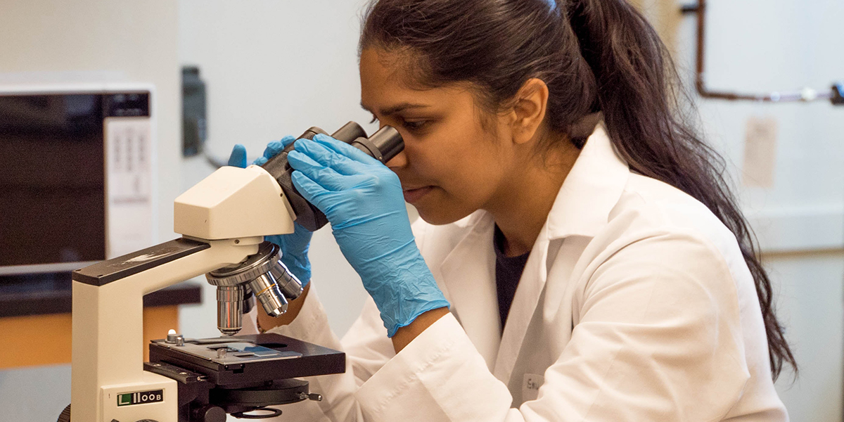 a researcher in a lab coat looks into a microscope 