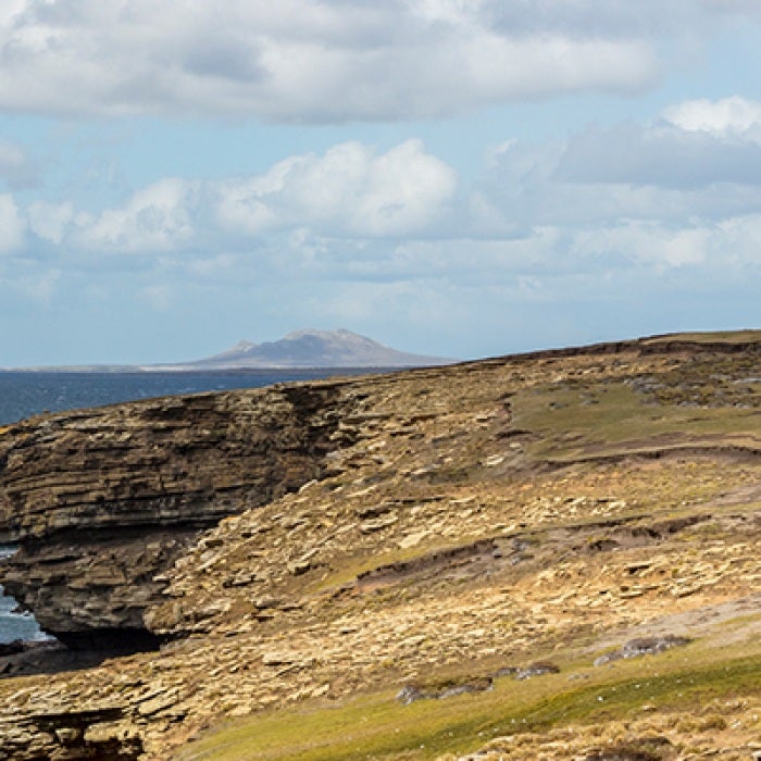 Islas Malvinas flat green landscape next to water