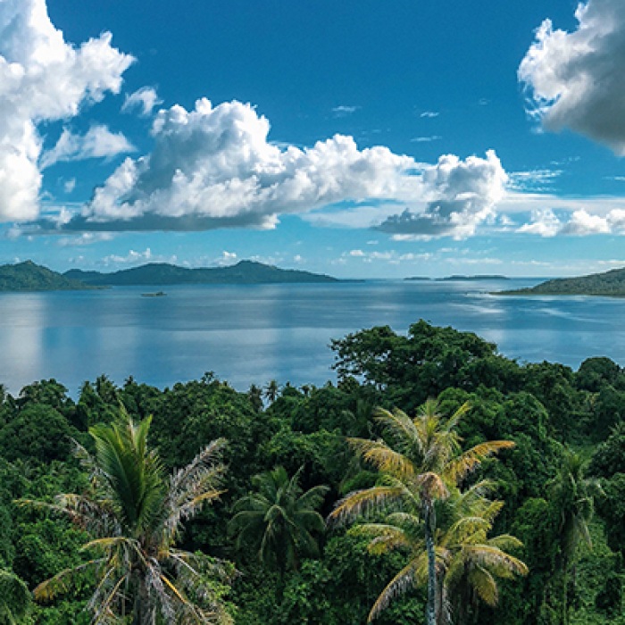 Tropical landscape with green trees and clear water Federated States of Micronesia