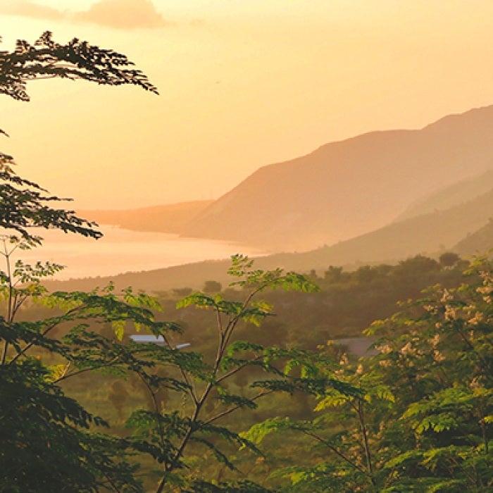 Haiti thick green forest