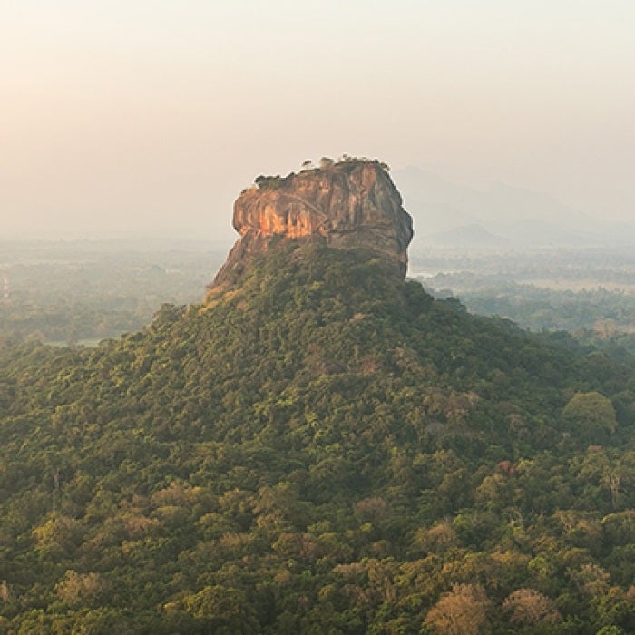 Sri Lanka thick forest with rock mountain in center