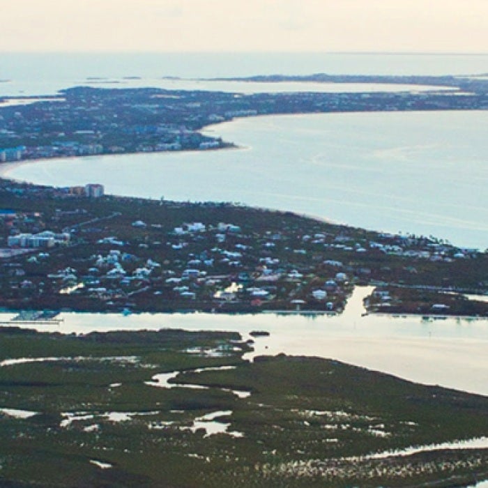 Turks and Caicos Island covered by trees surrounded by water