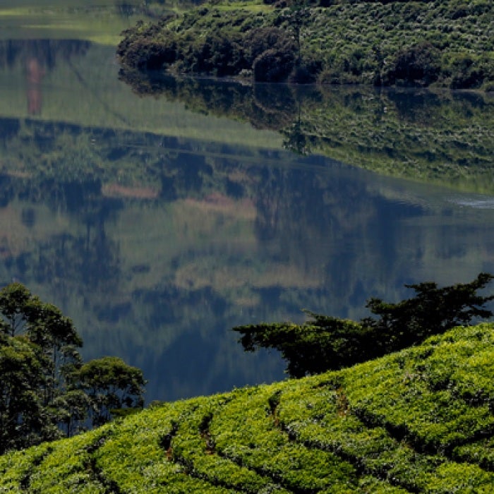 Lake in Zimbabwe with green field in foreground and thick trees left and right