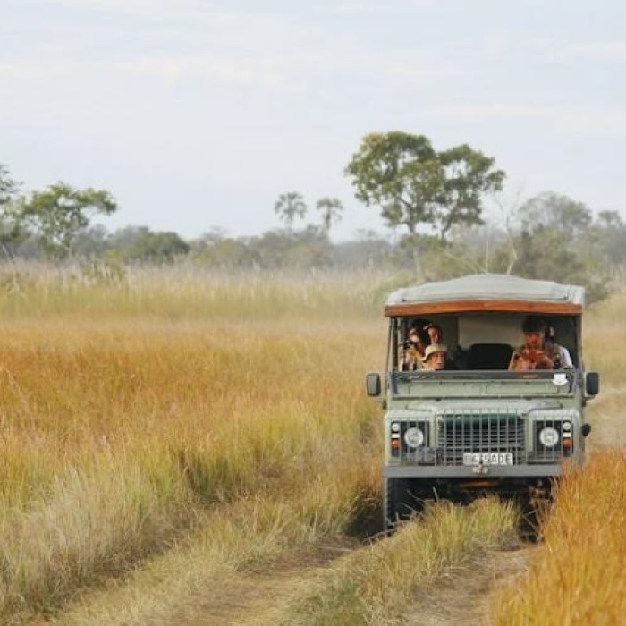 a truck driving through tall grass in botswana