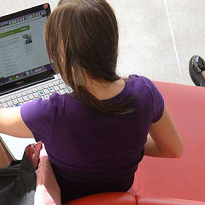 two people work on laptops on a chair