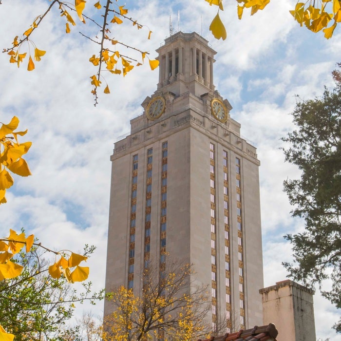Tower through trees with yellow leaves in the fall 