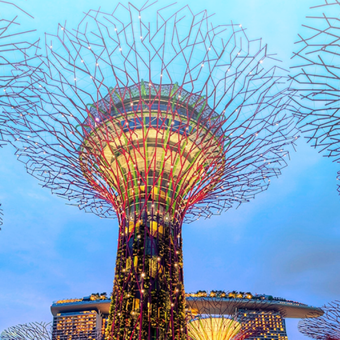 Lighted trees in Singapore against a backdrop of a dusk sky.