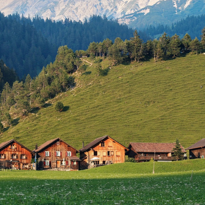 row of brown houses in green hills near trees and snowy mountains during daytime