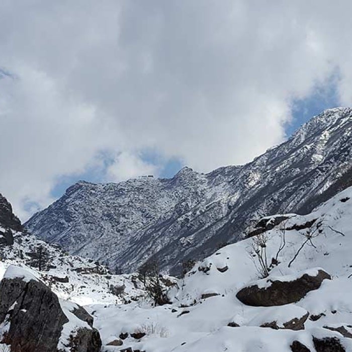 snowy, winter landscape