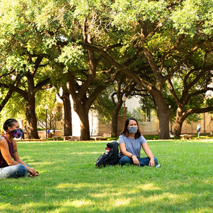 students studying outdoors