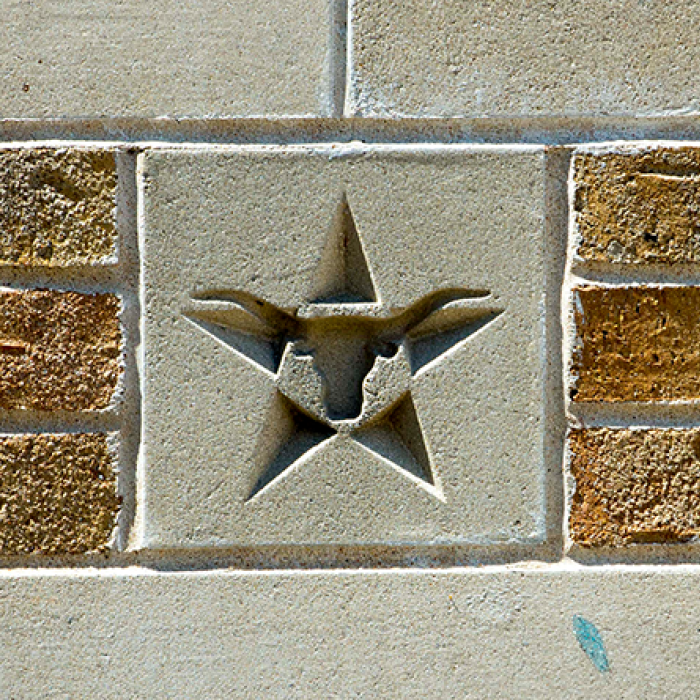 Up close image of UT architecture featuring a five-pointed start and the Bevo silhouette.  