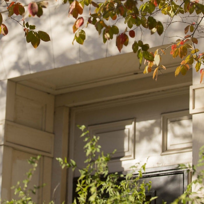 archway near trees and street lights during daytime