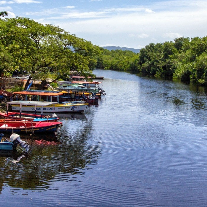 boats near calm river lined by thick trees during daytime