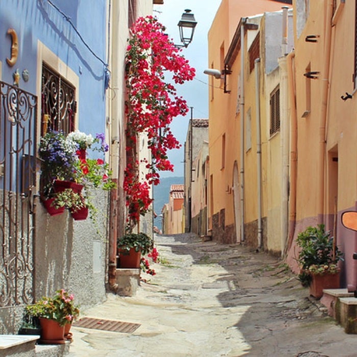 Looking down and a colorful alleyway in Italy, colorful buildings, plants, and a scooter are in view