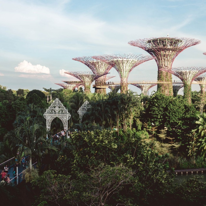 View of the gardens and plant towers at Singapores Gardens by the Bay during daytime
