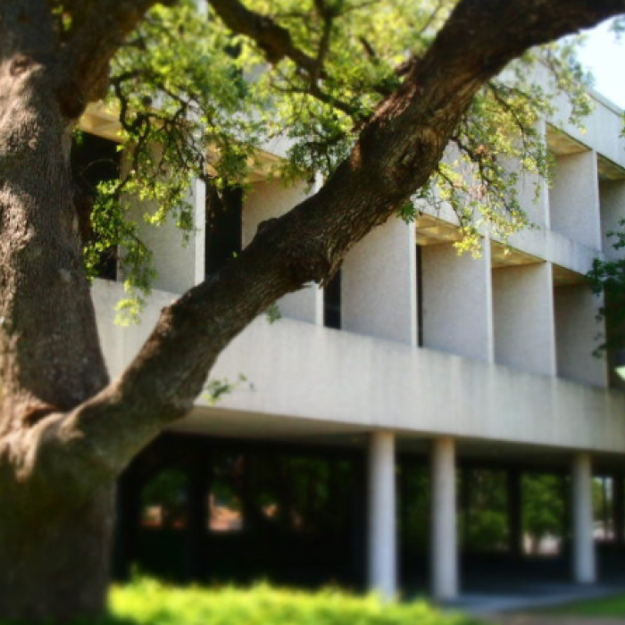 Outside of the Benson Museum on UT campus. The building is white with many windows and trees surrounding the three story museum.