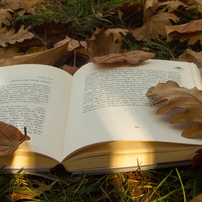 A book in a foreign language lays open amongst fallen fall leaves in the grass