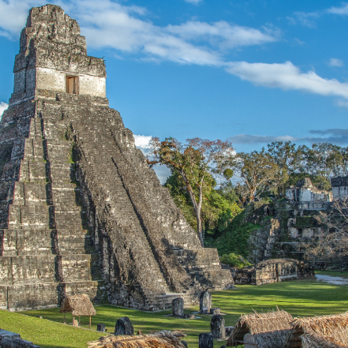 Ancient ruins sit in the middle of a jungle outlined with growing trees and hunts