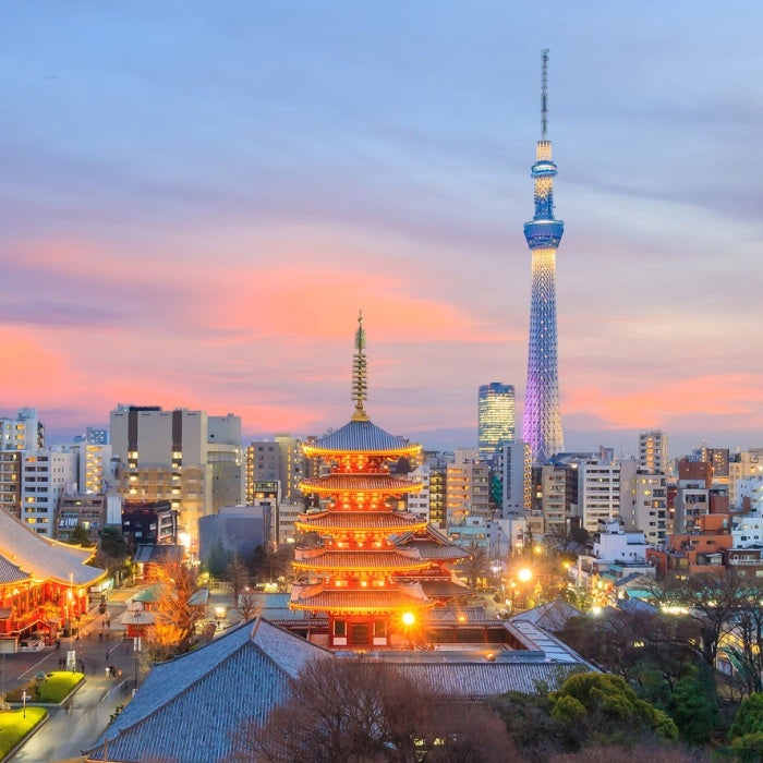 View of the Tokyo skyline with the Skytree tower at sunset in Japan.