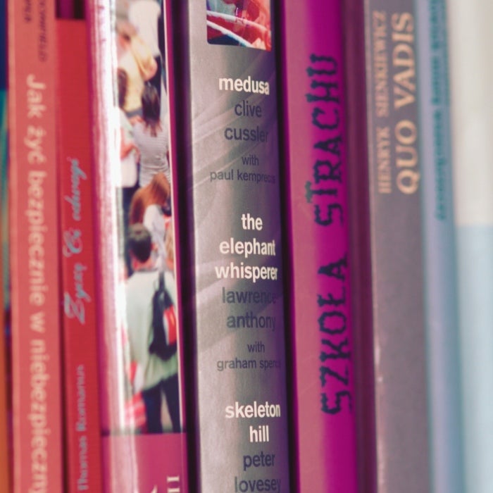 Books with international titles on a bookshelf