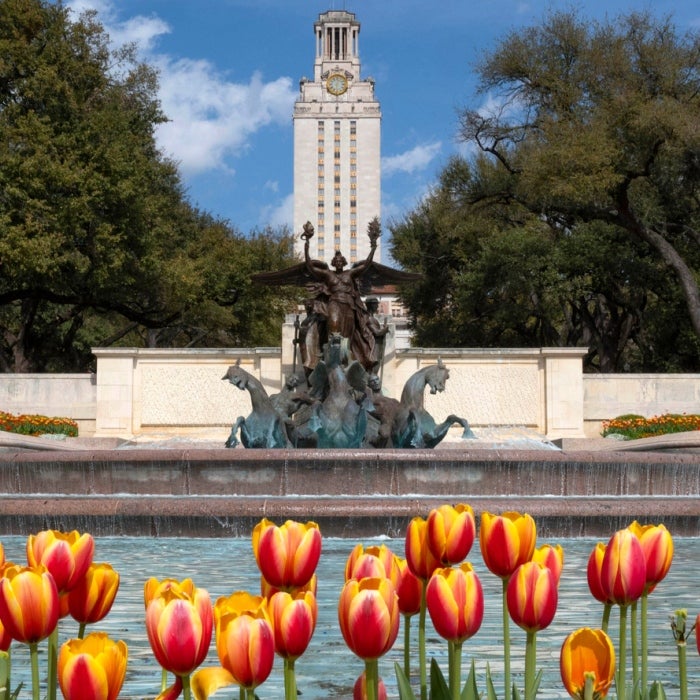 The Littlefield Fountain on UT Austin campus with tulips in the foreground and the Main Building "Tower" in the background