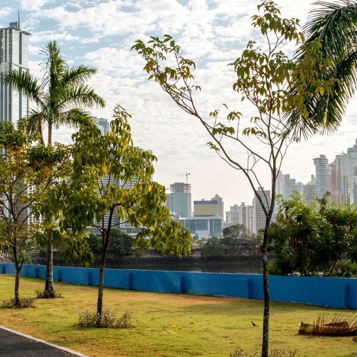 A view of the Panama City skyline looking down a palm tree lined road