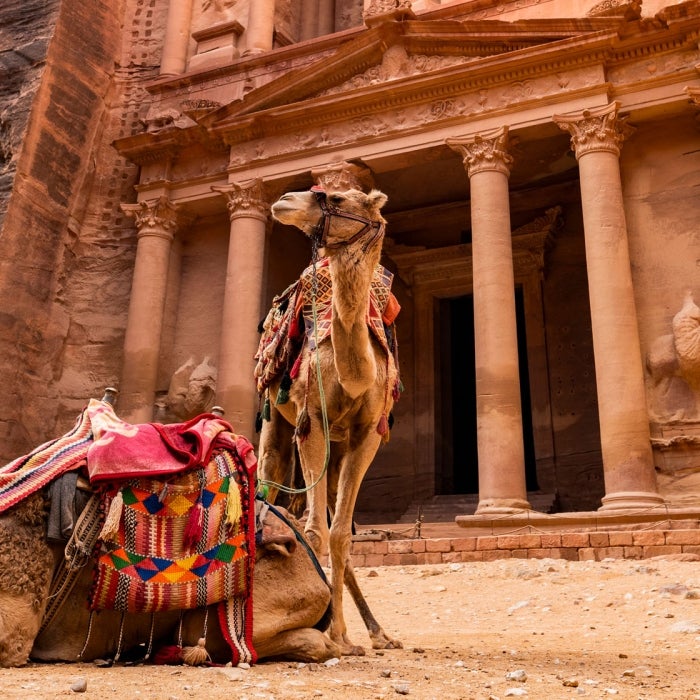 Camels with colorful packs stand in front of the impressive and historic carved structures of Petra, Jordan 