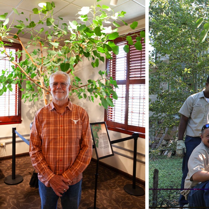 Residing in the Presidential Lounge on the third floor of University Unions, a Bodhi tree commemorates the campus visit of Tenzin Gyatso, the 14th Dalai Lama, who delivered remarks to a crowd of 12,000 at the Frank Erwin Center on September 20, 2005.  
