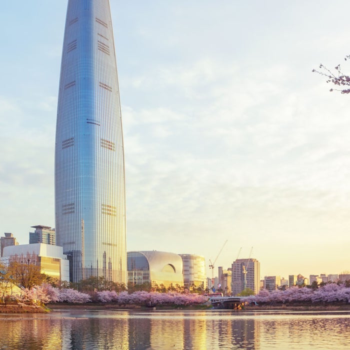 Sakura or cherry blossom park in Seoul city during a morning sunrise in South korea