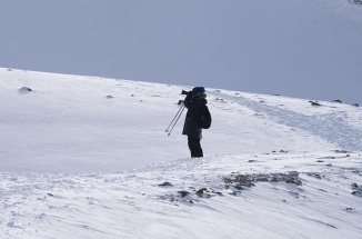 Beili Liu stands amid a snowy landscape