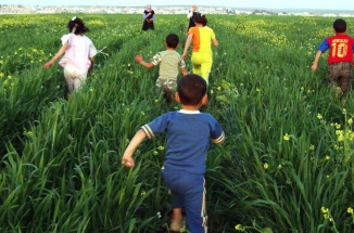 Children run thru a green field toward a Peace Corps Volunteer in the distance