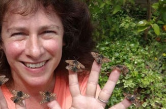 UT Professor Camille Parmesan holds 10 butterflies, 1 on each finger