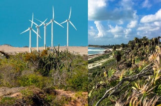 Triptych of landscapes in Hungary, Brazil, and Mexico