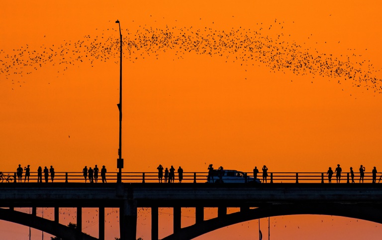 Bats dot the orange sunset sky as onlookers gather for the evening spectacle of their evening meal on a popular bridge in south Austin