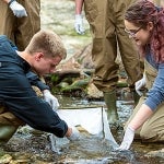 Student researchers participate in field work catching water life in a stream with a net