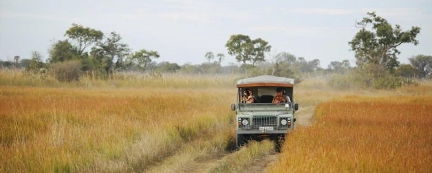 a truck driving through tall grass in botswana
