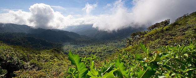 Looking out across the lush mountains of Costa Rica in the Monteverde cloud forest 