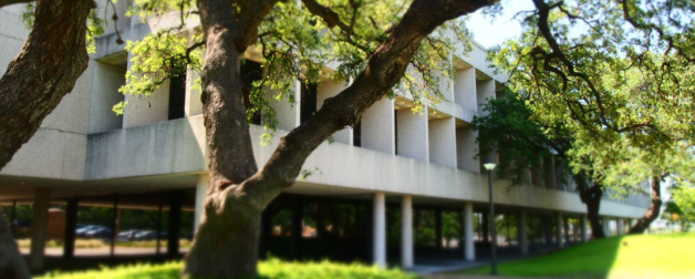 Outside of the Benson Museum on UT campus. The building is white with many windows and trees surrounding the three story museum.