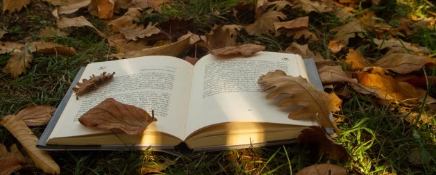 A book in a foreign language lays open amongst fallen fall leaves in the grass