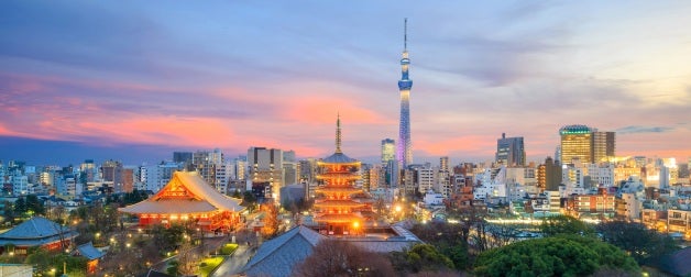 View of the Tokyo skyline with the Skytree tower at sunset in Japan.