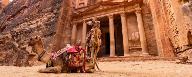 Camels with colorful packs stand in front of the impressive and historic carved structures of Petra, Jordan 