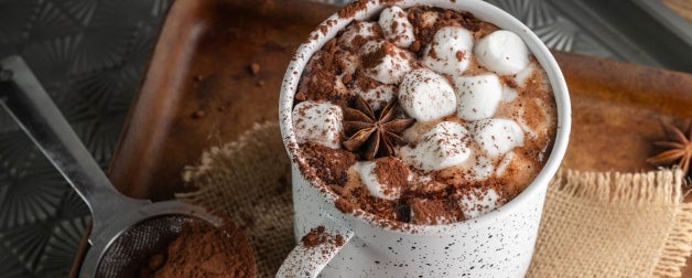 Hot Chocolate or Cocoa is displayed on a decorative dish with marshallows and cinnamon