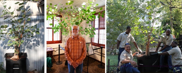 Residing in the Presidential Lounge on the third floor of University Unions, a Bodhi tree commemorates the campus visit of Tenzin Gyatso, the 14th Dalai Lama, who delivered remarks to a crowd of 12,000 at the Frank Erwin Center on September 20, 2005.  