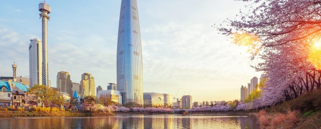 Sakura or cherry blossom park in Seoul city during a morning sunrise in South korea