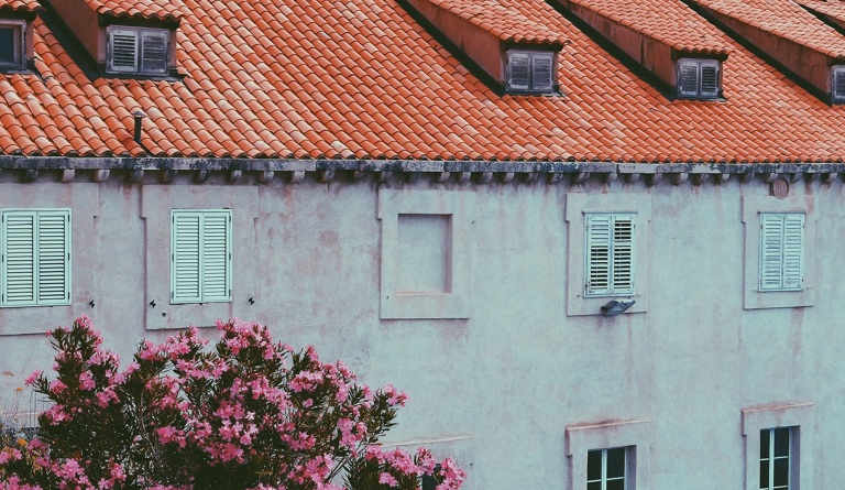 Building and flowers in Croatian countryside