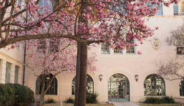 Pink flowers on trees forefront the architecture courtyard. 
