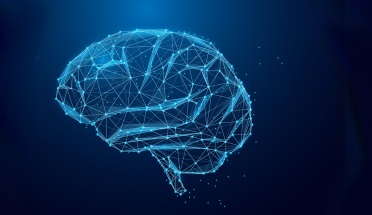 Digital rendering of human brain