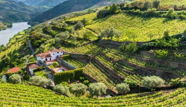 A river flows through a hillside landscape in Portugal